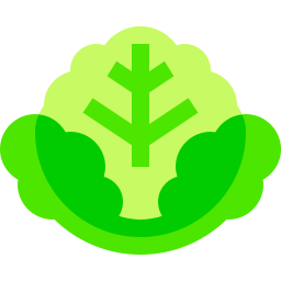 Lettuce icon