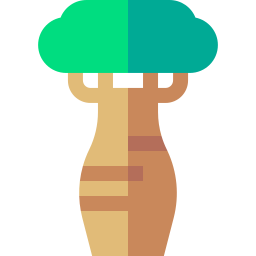 Baobab icon