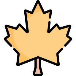 Maple leaf icon