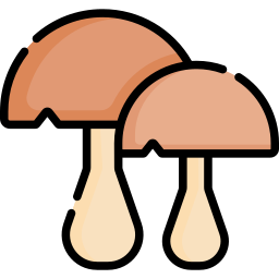 Mushroom icon