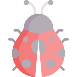 coccinella icona