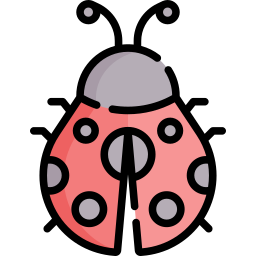 coccinella icona