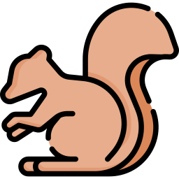 Squirrel icon