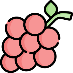 Grapes icon