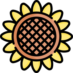 Sunflower icon