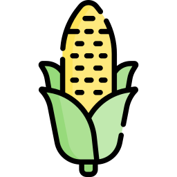 Corn icon