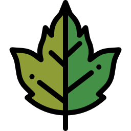 Leaf icon