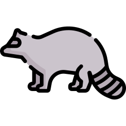 Racoon icon