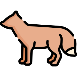 Fox icon