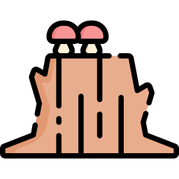 Trunk icon