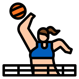 volleyball icon