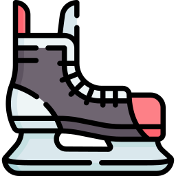 Skates icon