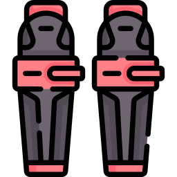 Shinpad icon