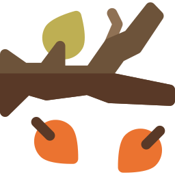 Tree branch icon