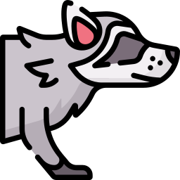 waschbär icon