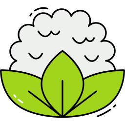 Cauliflower icon