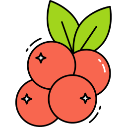 Cranberry icon