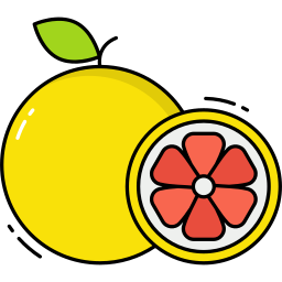 grapefruit icon