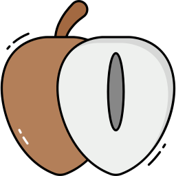 sapodilla icon