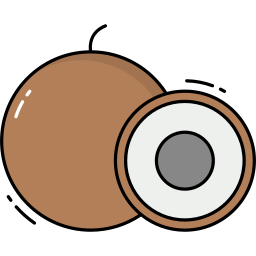 longan Ícone