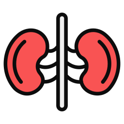 Kidney icon