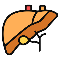 Liver icon