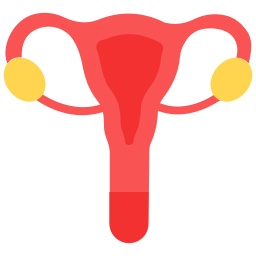 Uterus icon