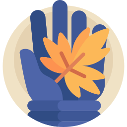 Gloves icon