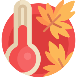 Temperature icon