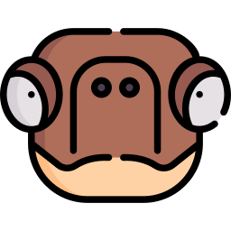 schildkröte icon