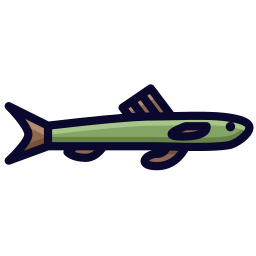 Fish icon