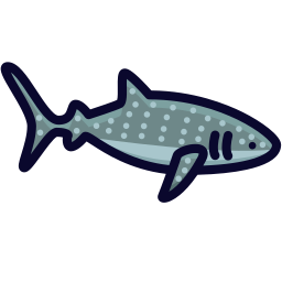 Shark icon