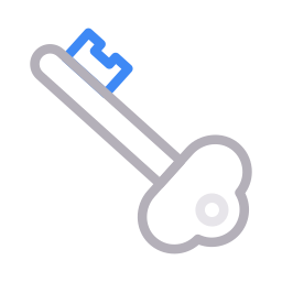 Smart key icon