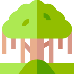 banyanbaum icon