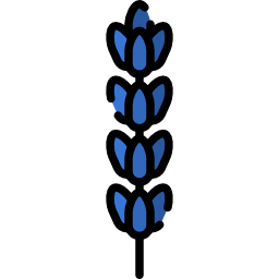 lavendel icon