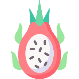 Dragon fruit icon