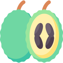 Lychee icon