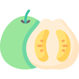 Pomelo icon