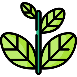 Tea leaf icon