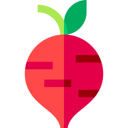 Radish icon