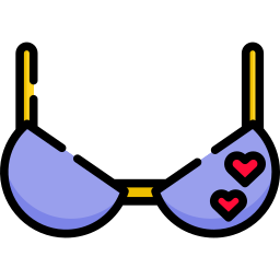 Bra icon