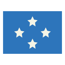 Flags icon