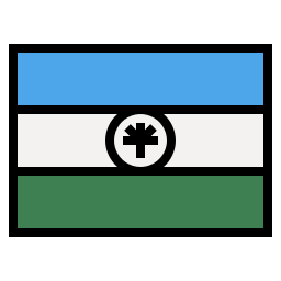 Flags icon