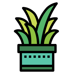 Cactus icon