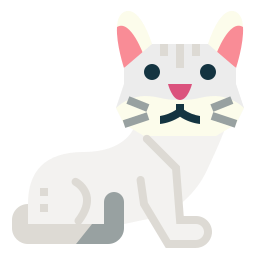 burmilla-katze icon