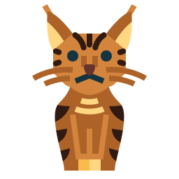 Pixie bob cat icon