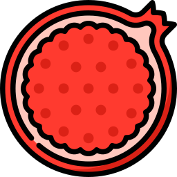 Pomegranate icon