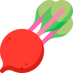 Beetroot icon