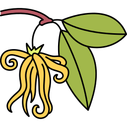 Ylang-ylang icon