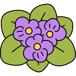 Violet icon